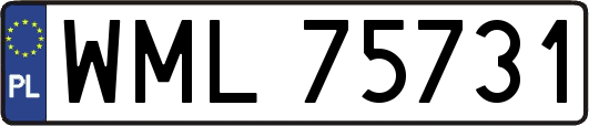 WML75731