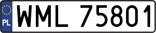 WML75801