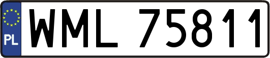 WML75811