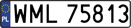 WML75813