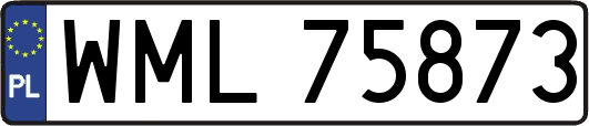 WML75873