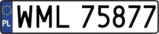 WML75877