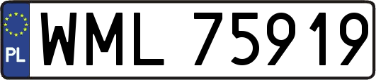 WML75919