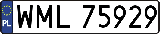 WML75929