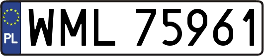 WML75961