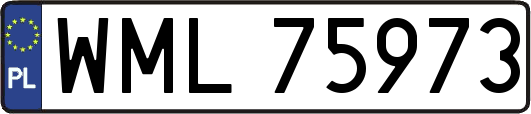 WML75973