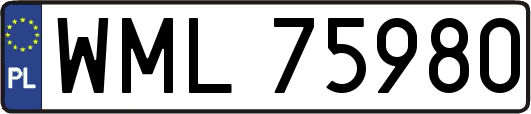 WML75980