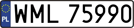 WML75990