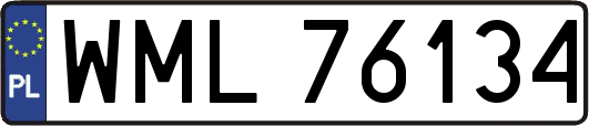 WML76134