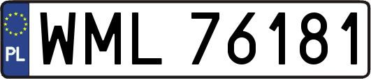 WML76181
