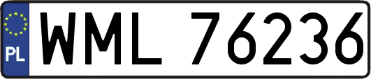 WML76236