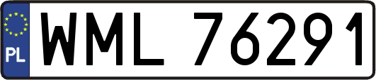 WML76291