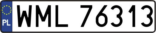 WML76313