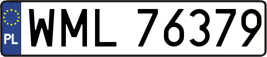 WML76379