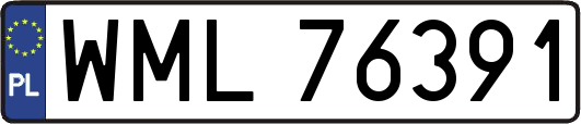 WML76391