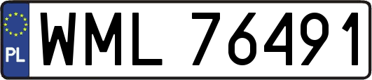 WML76491
