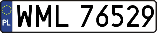 WML76529