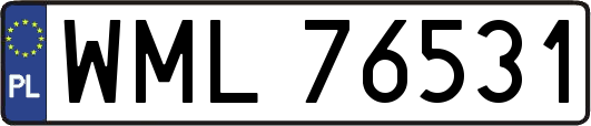 WML76531
