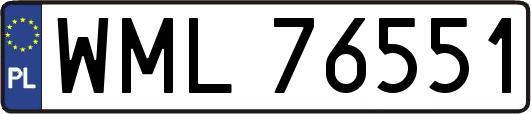 WML76551