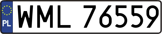 WML76559