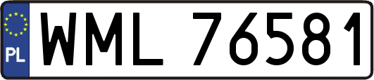 WML76581