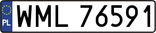 WML76591