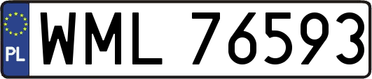 WML76593
