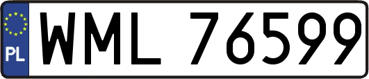 WML76599