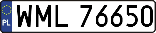 WML76650