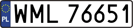 WML76651