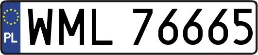 WML76665