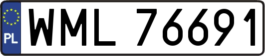 WML76691