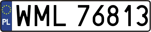 WML76813