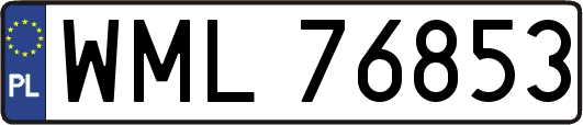 WML76853