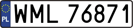 WML76871