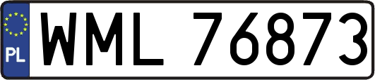 WML76873