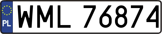 WML76874