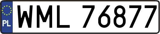 WML76877