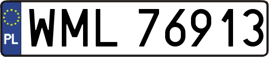 WML76913