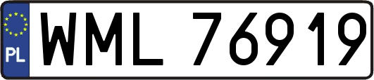 WML76919