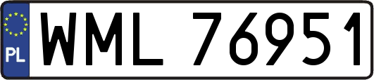WML76951