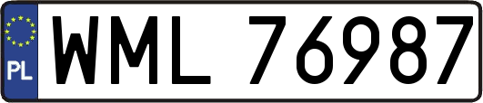 WML76987