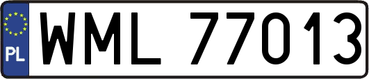 WML77013