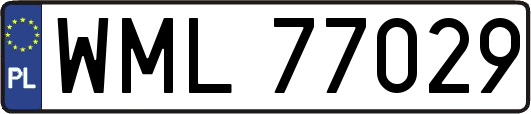 WML77029