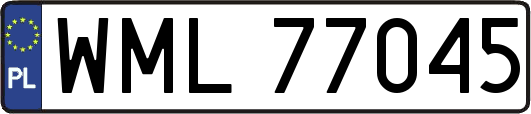 WML77045