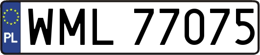 WML77075