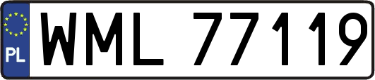 WML77119