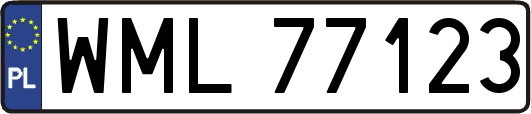 WML77123