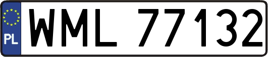 WML77132