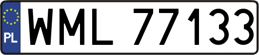 WML77133